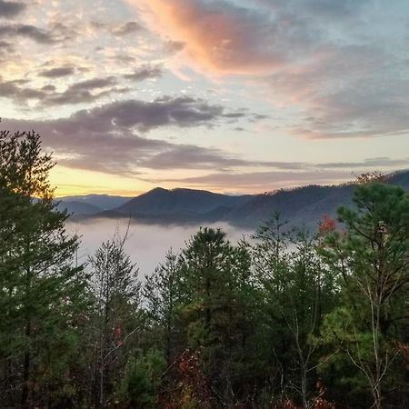 Lazy Bear Lodge Sevierville Exterior foto